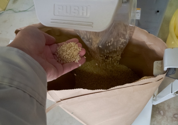 収穫したお米の袋詰め作業