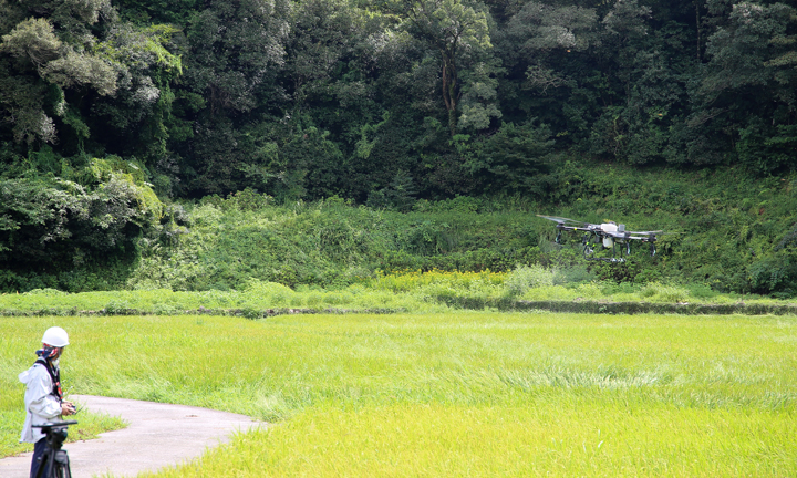 ドローン防除事業