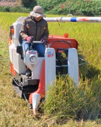 カルーセル2_稲刈り